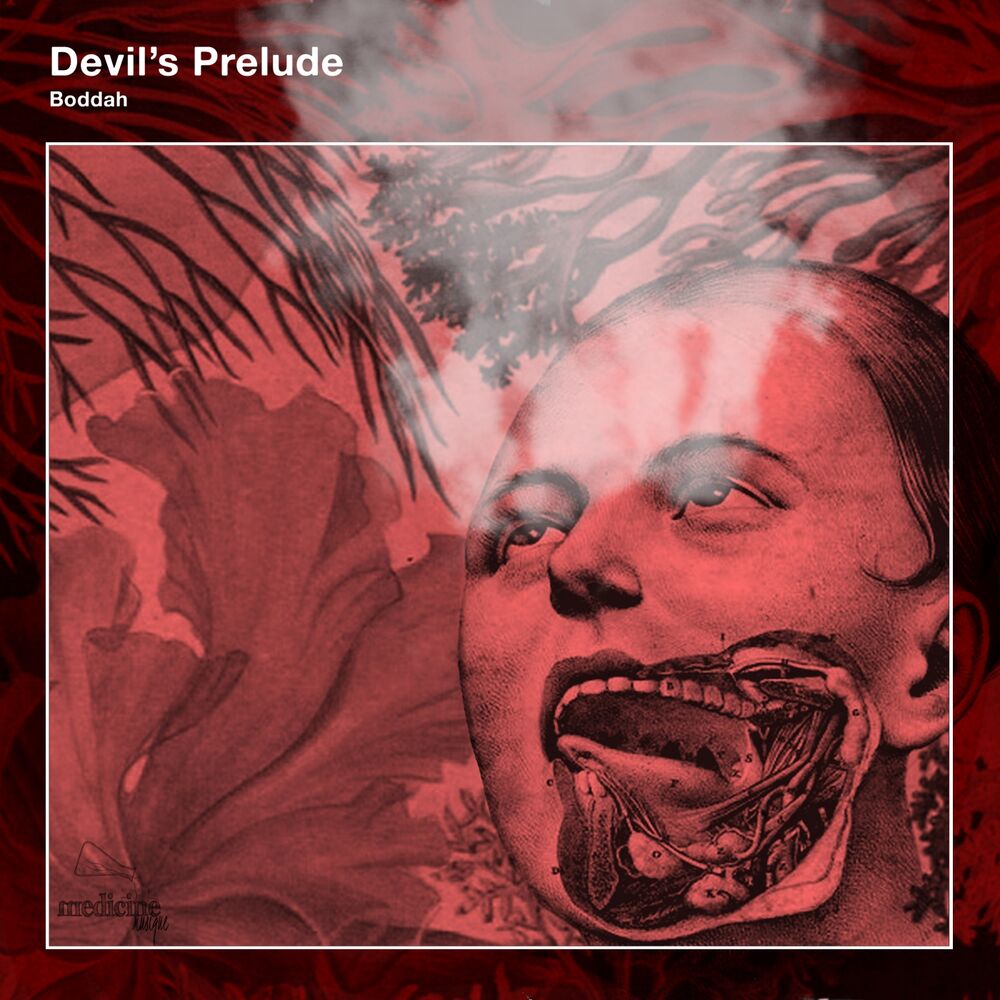 Picture of Devil's Prelude