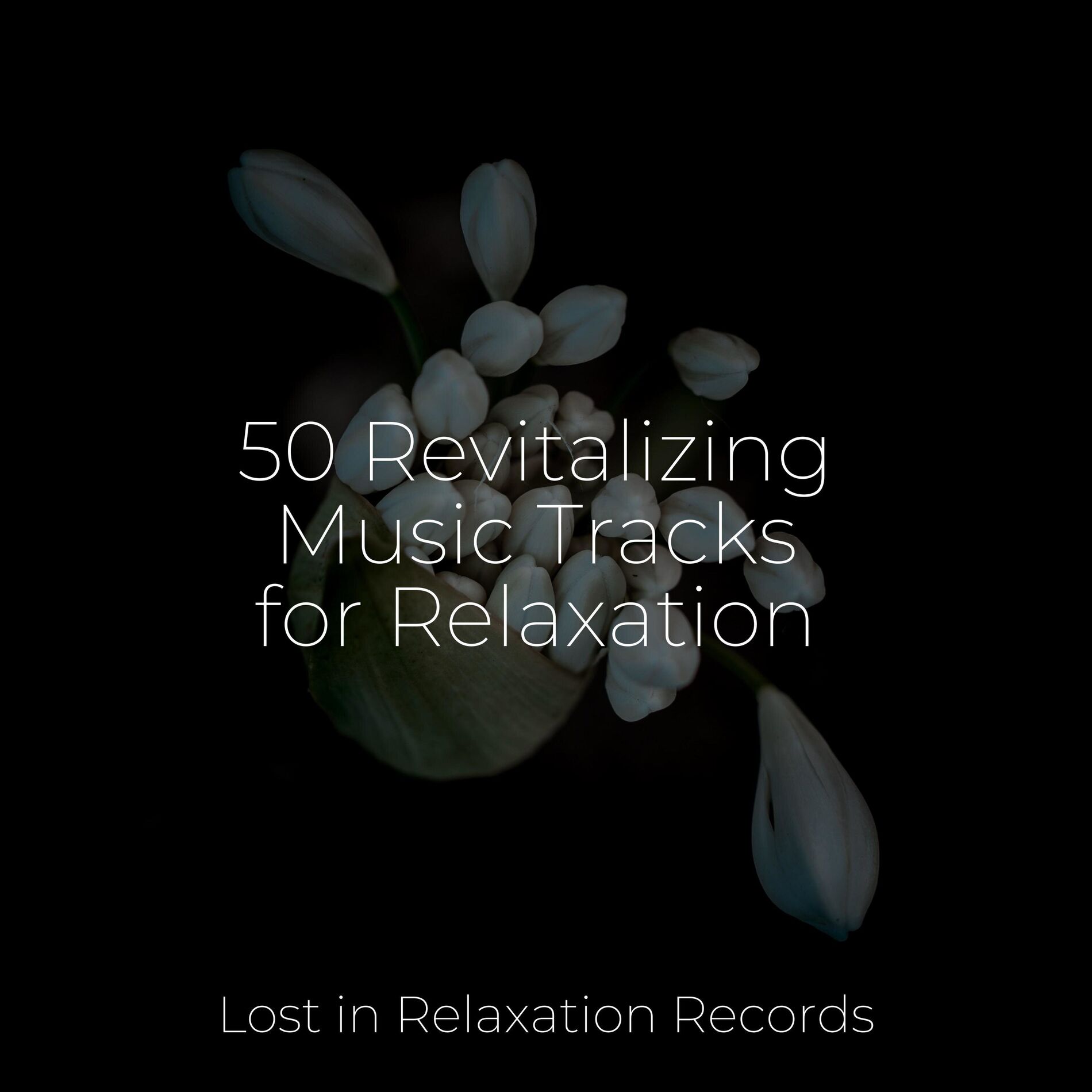 Album cover of 50 Revitalizing Music Tracks for Relaxation