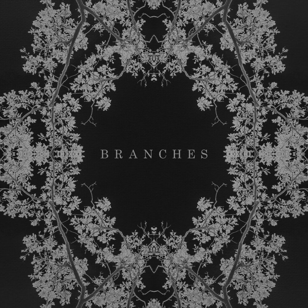 Picture of Branches