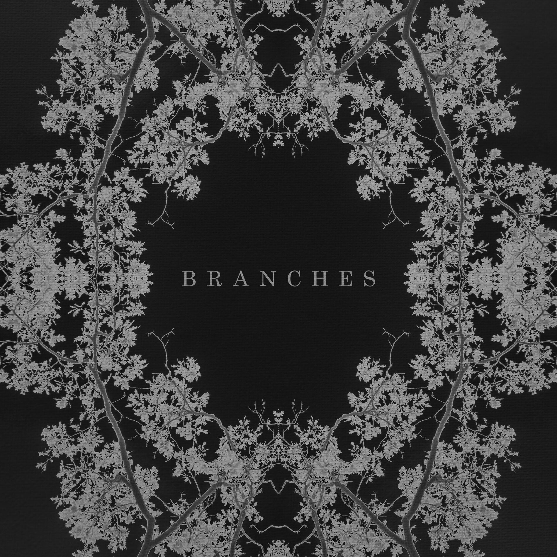Album cover of Branches