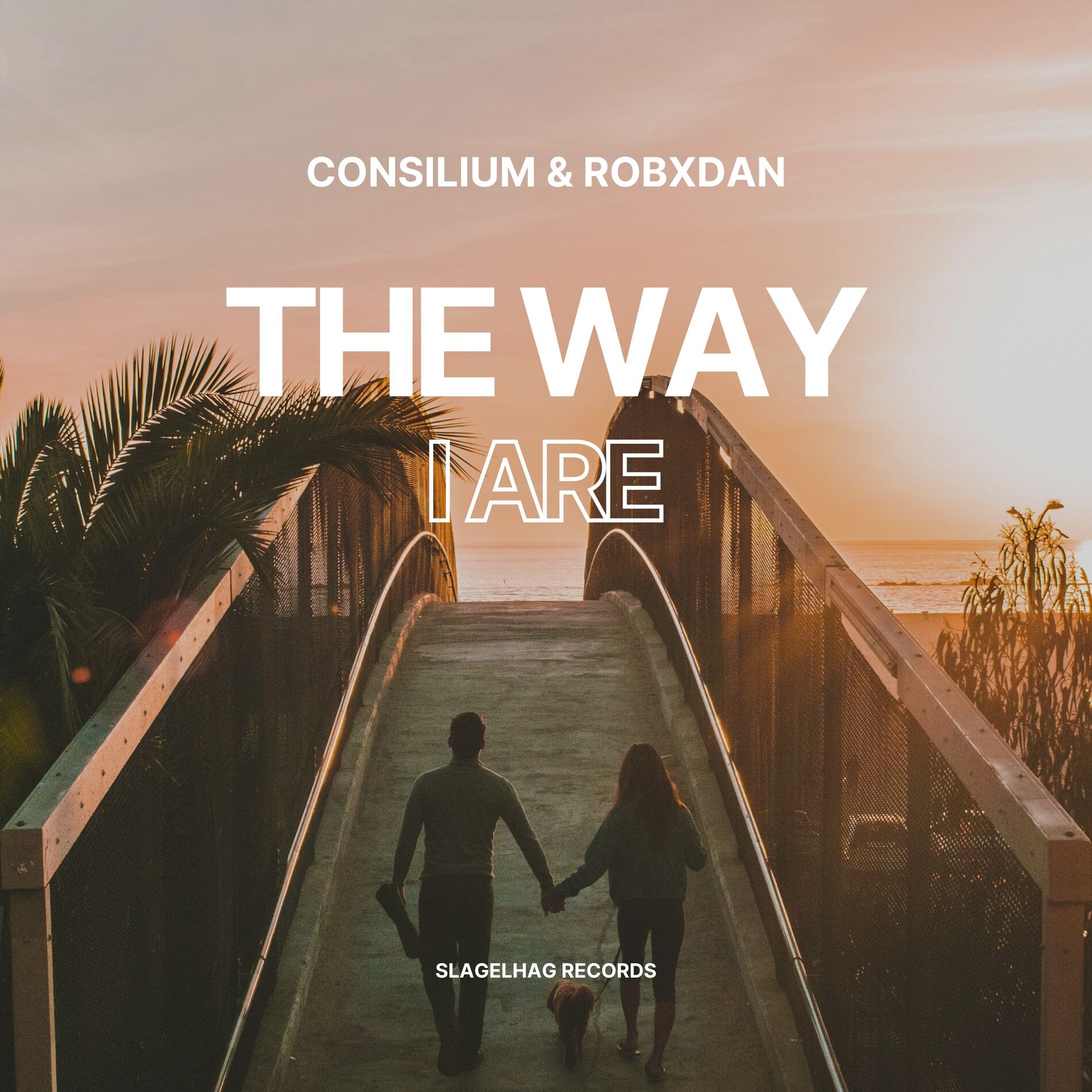 Album cover of The Way I Are