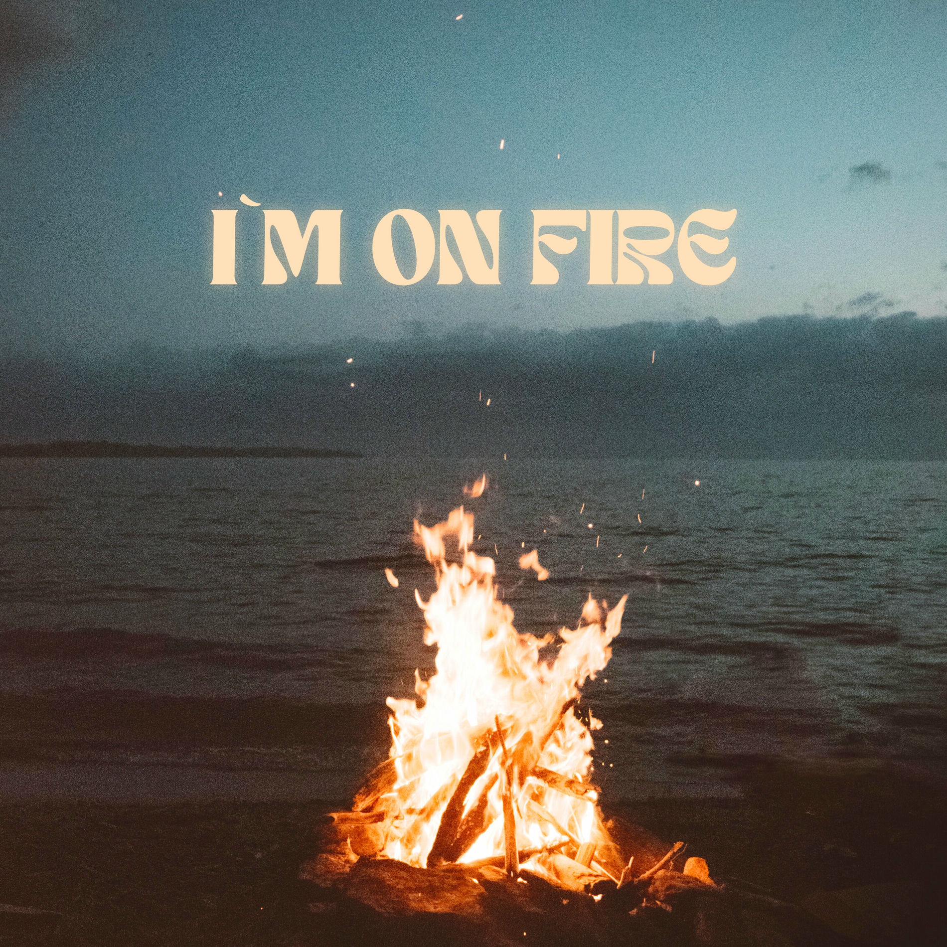 Album cover of I'm on Fire