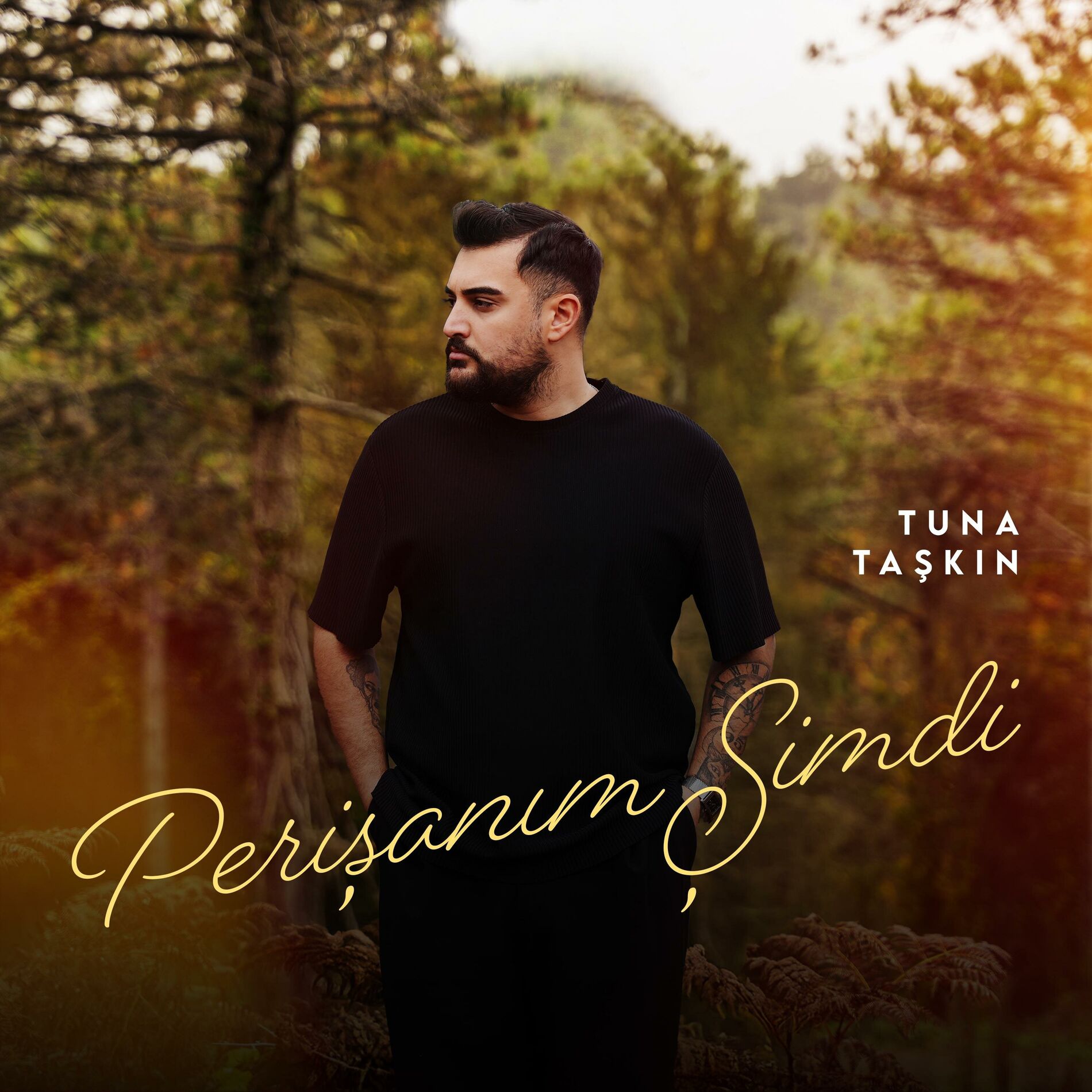 Album cover of Perişanım Şimdi