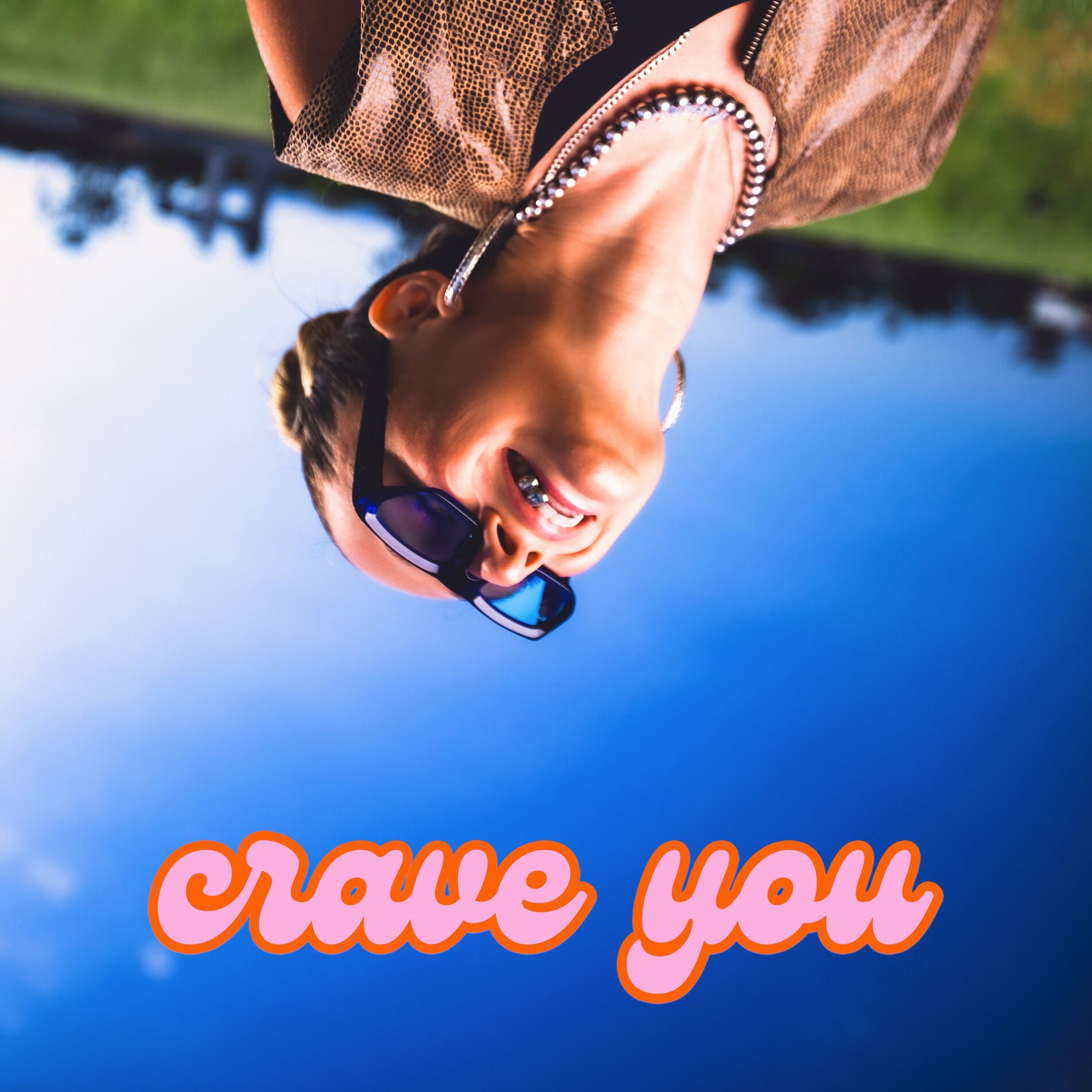 Album cover of crave you