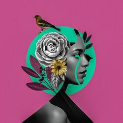 Cover of Quem Te Falou