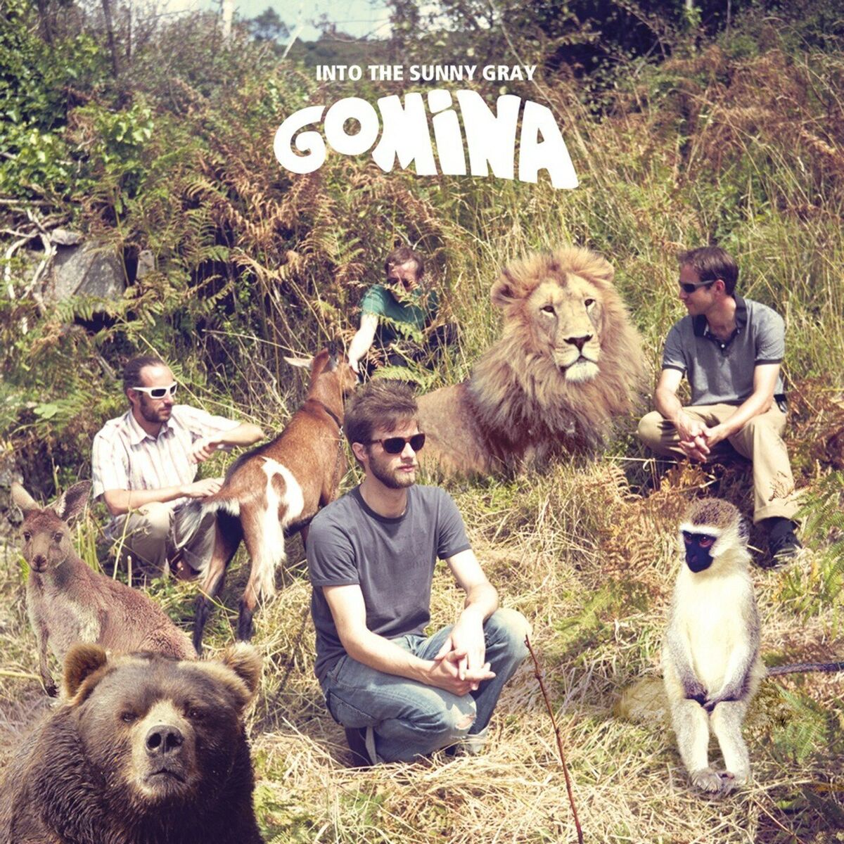 Album cover of Into The Sunny Gray
