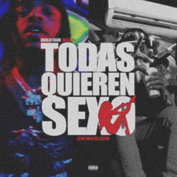 Cover of TODAS QUIEREN SEXO by undefined