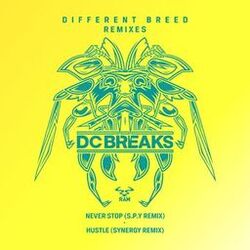Cover of Never Stop / Hustle (S.P.Y Remix; Synergy Remix)