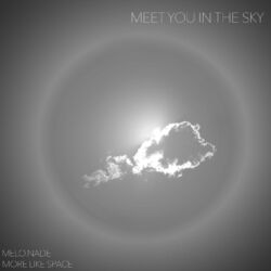 Cover of Meet You in the Sky