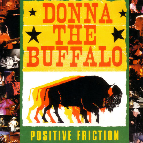 Positive Friction by Donna The Buffalo - 134 BPM