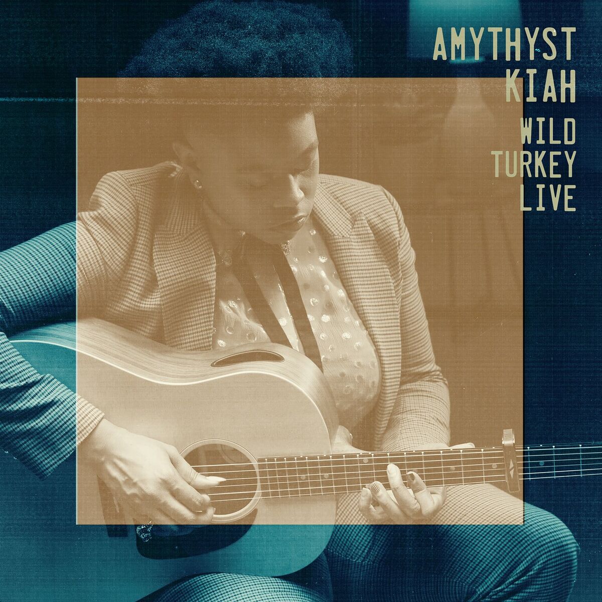 Album cover of Wild Turkey (Live)