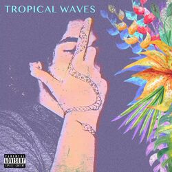 Cover of Tropical Waves
