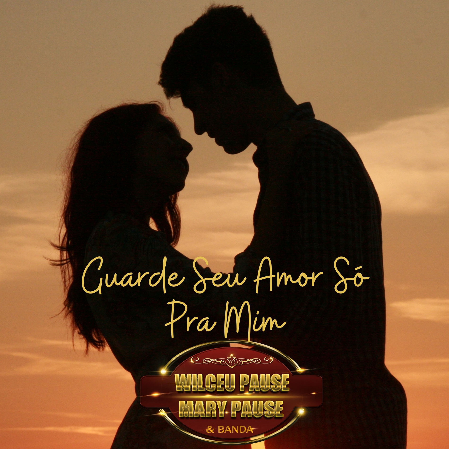 Album cover of Guarde Seu Amor Só Para Mim