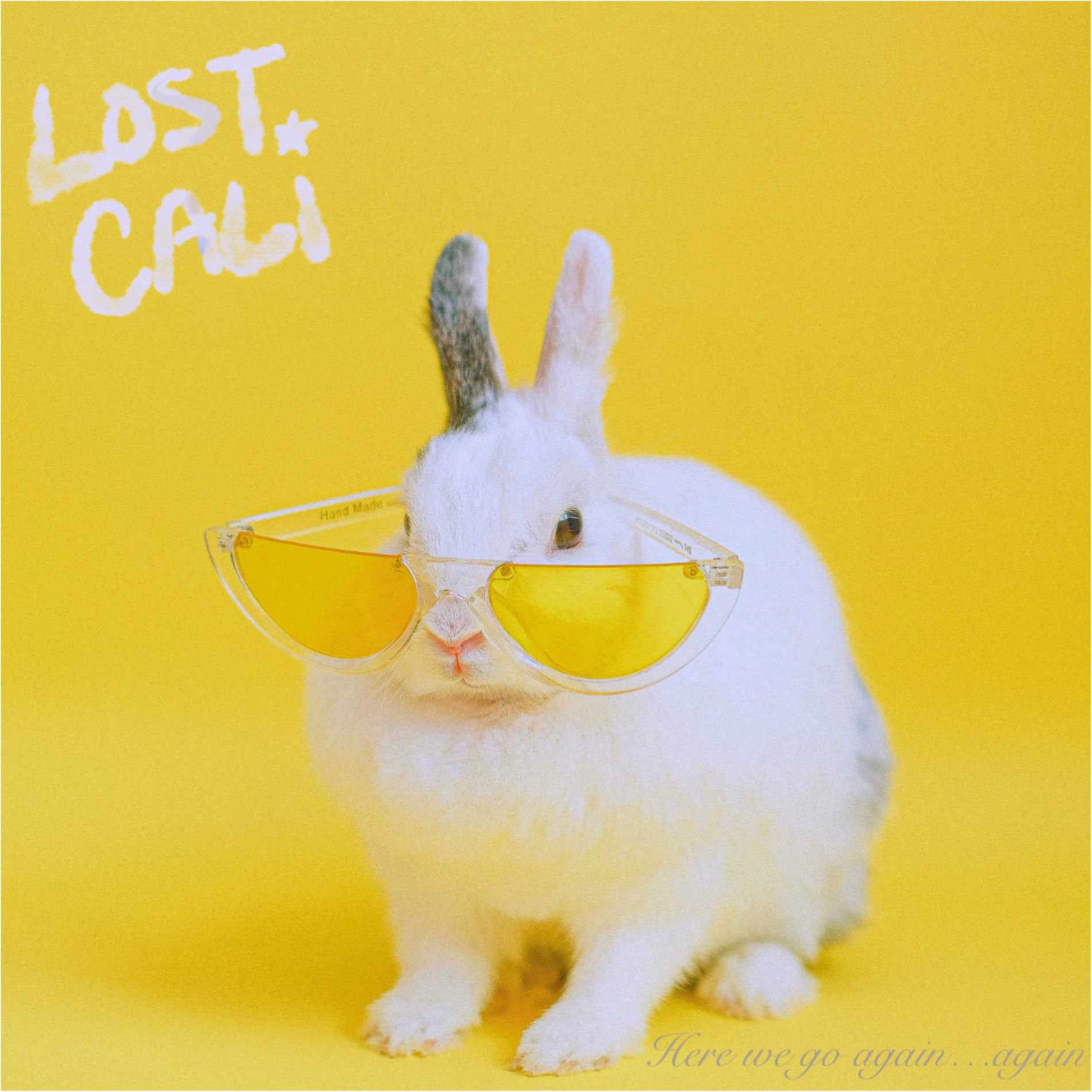 Album cover of Here We Go Again...Again
