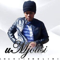 Cover of Usizi