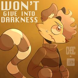 Cover of Won't Give Into Darkness