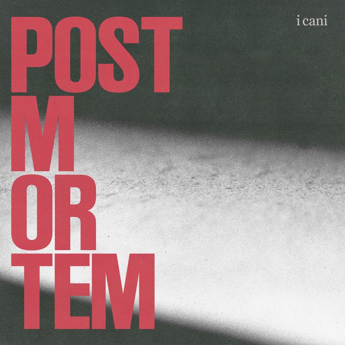Album cover of nella parte del mondo in cui sono nato