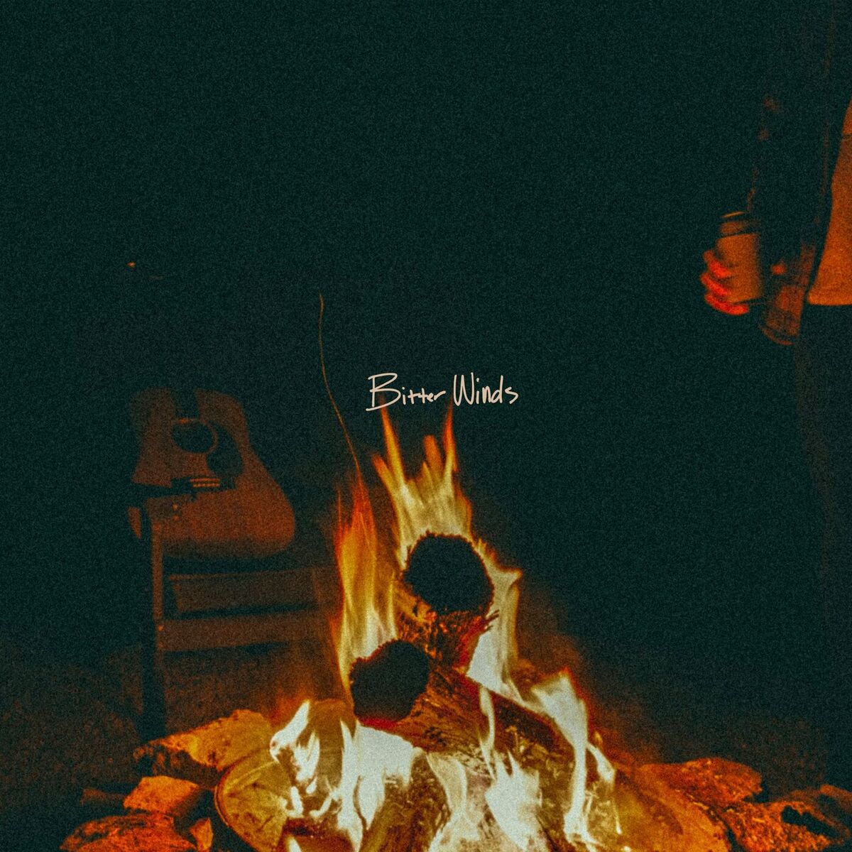 Album cover of Bitter Winds