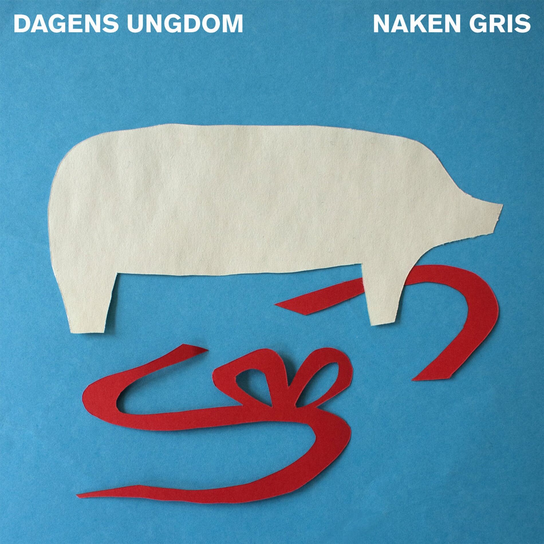 Album cover of Naken Gris