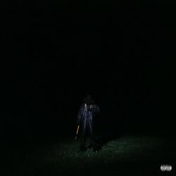 Cover of If Looks Could Kill