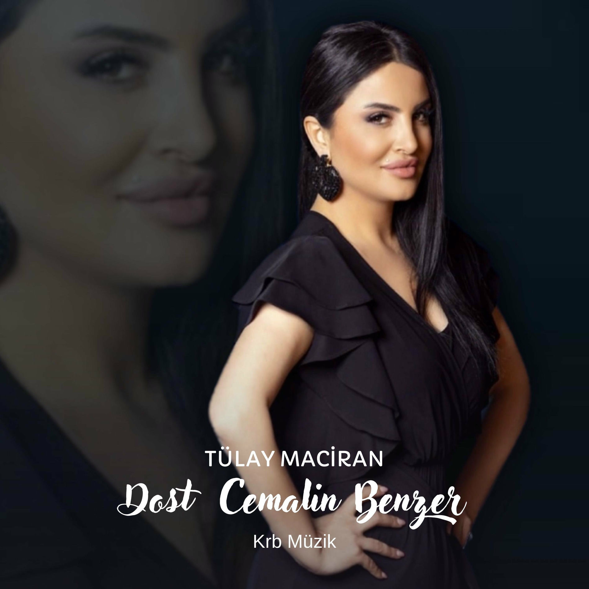 Album cover of Dost Cemalin Benzer (feat. Tülay Maciran)