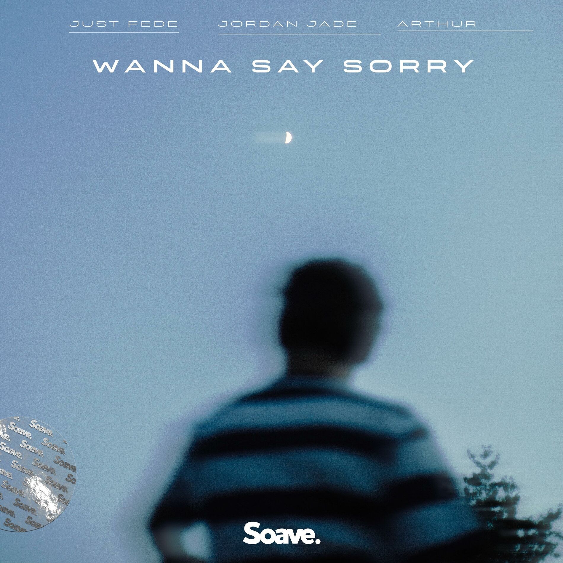 Album cover of Wanna Say Sorry