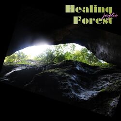 Cover of Healing Forest