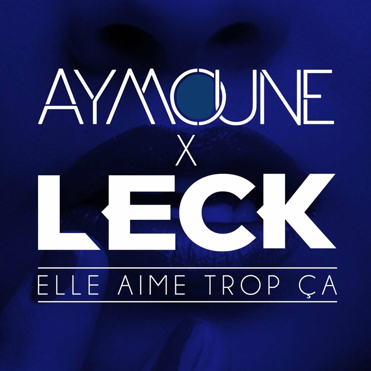 Album cover of Elle aime trop ça