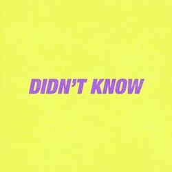 Cover of Didn't Know