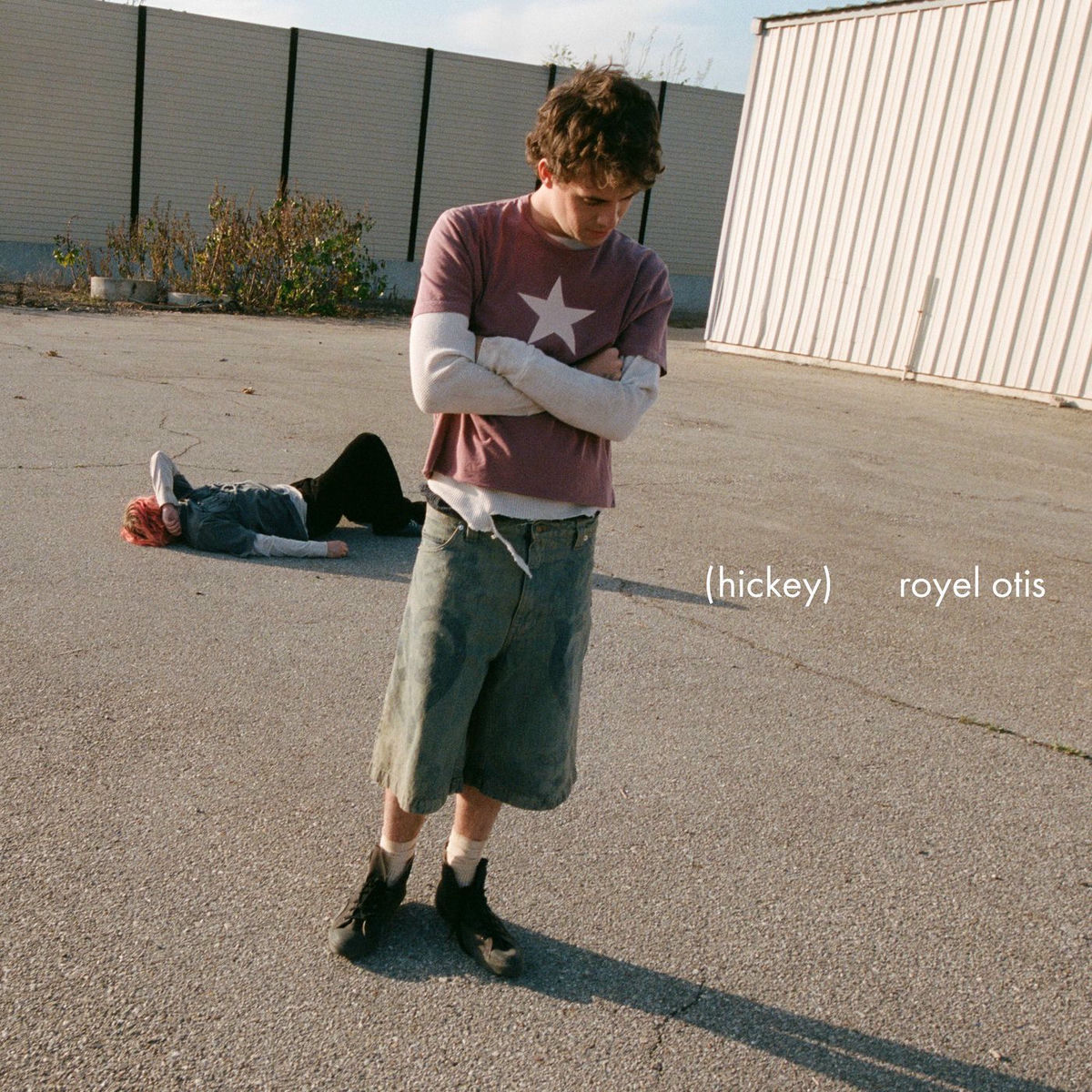 Album cover of hickey