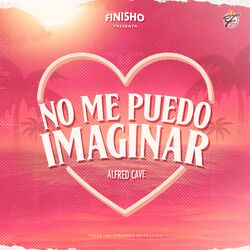 Cover of No Me Puedo Imaginar