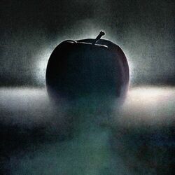 Cover of Shadow