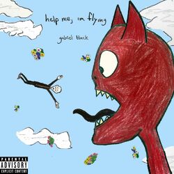 Cover of help me, i'm flying