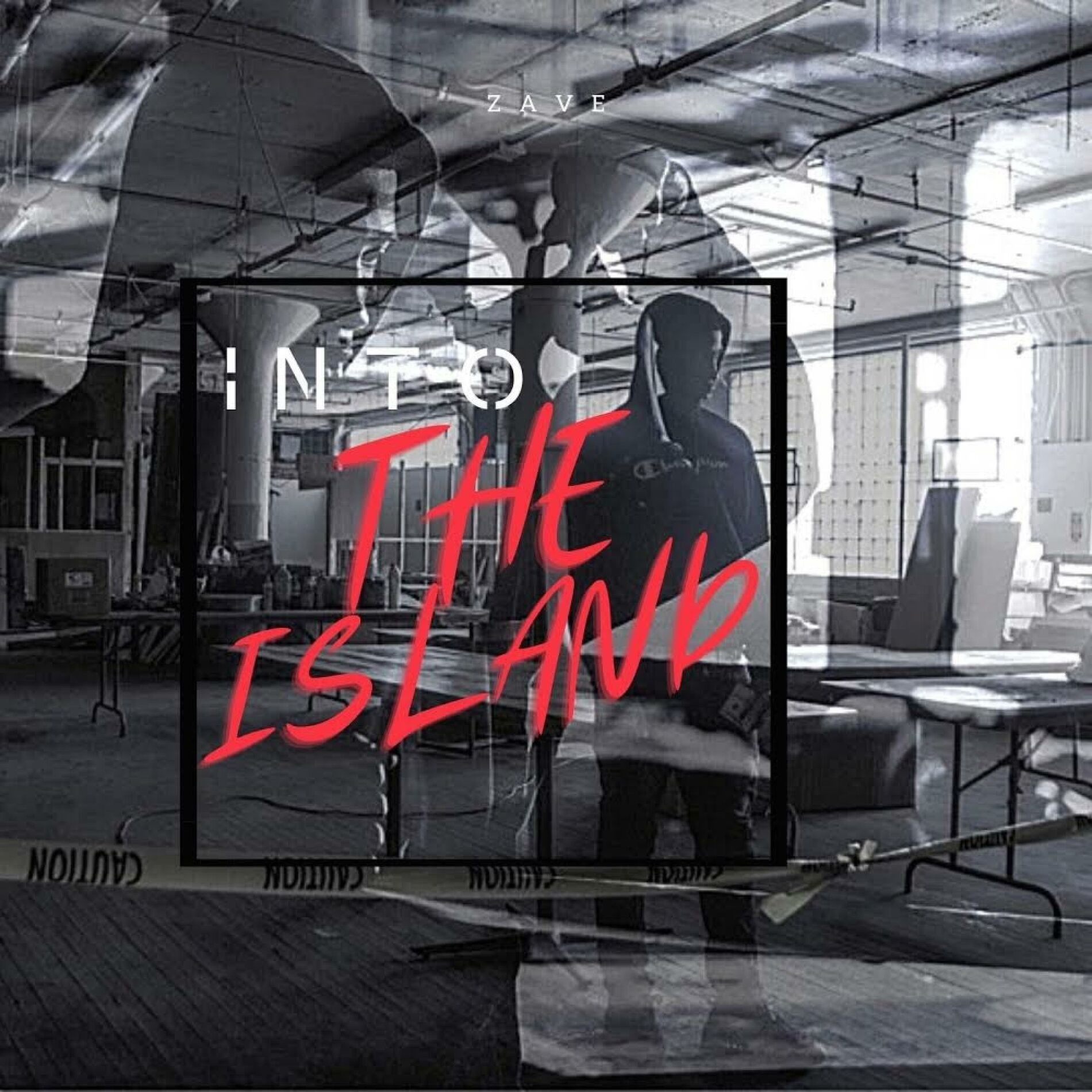 Album cover of Into the Island