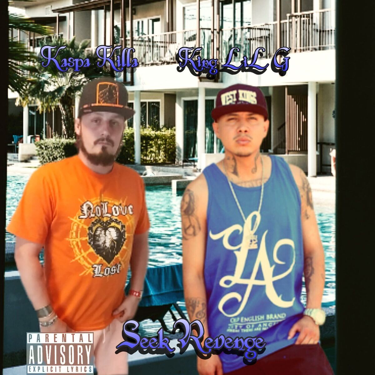 Album cover of Seek Revenge