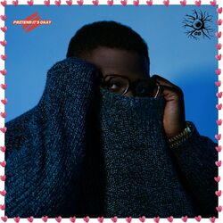Cover of Bruises