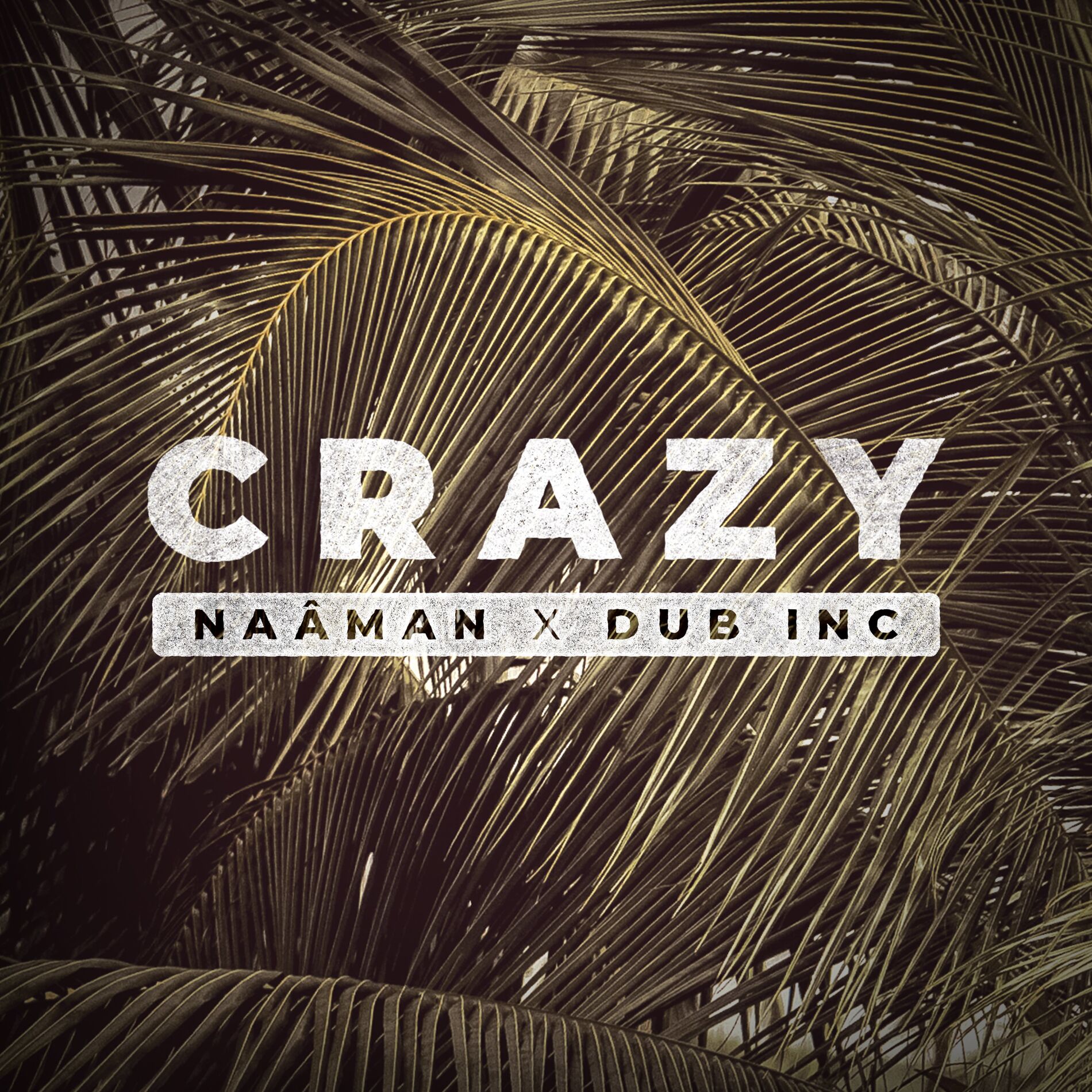 Album cover of Crazy
