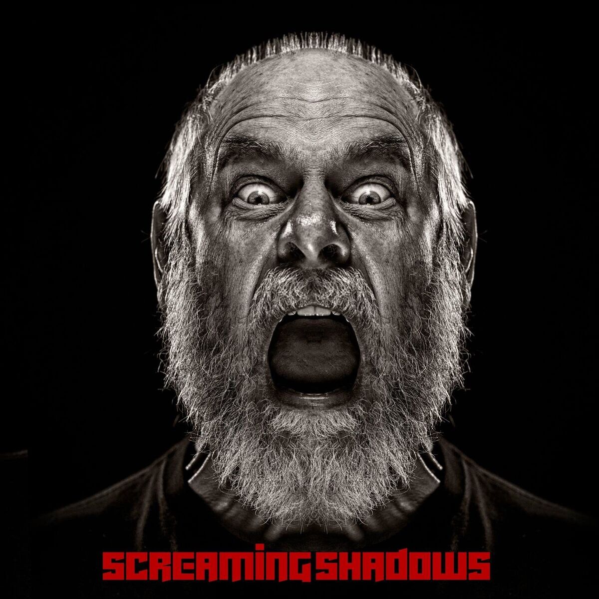 Album cover of Screaming Shadows