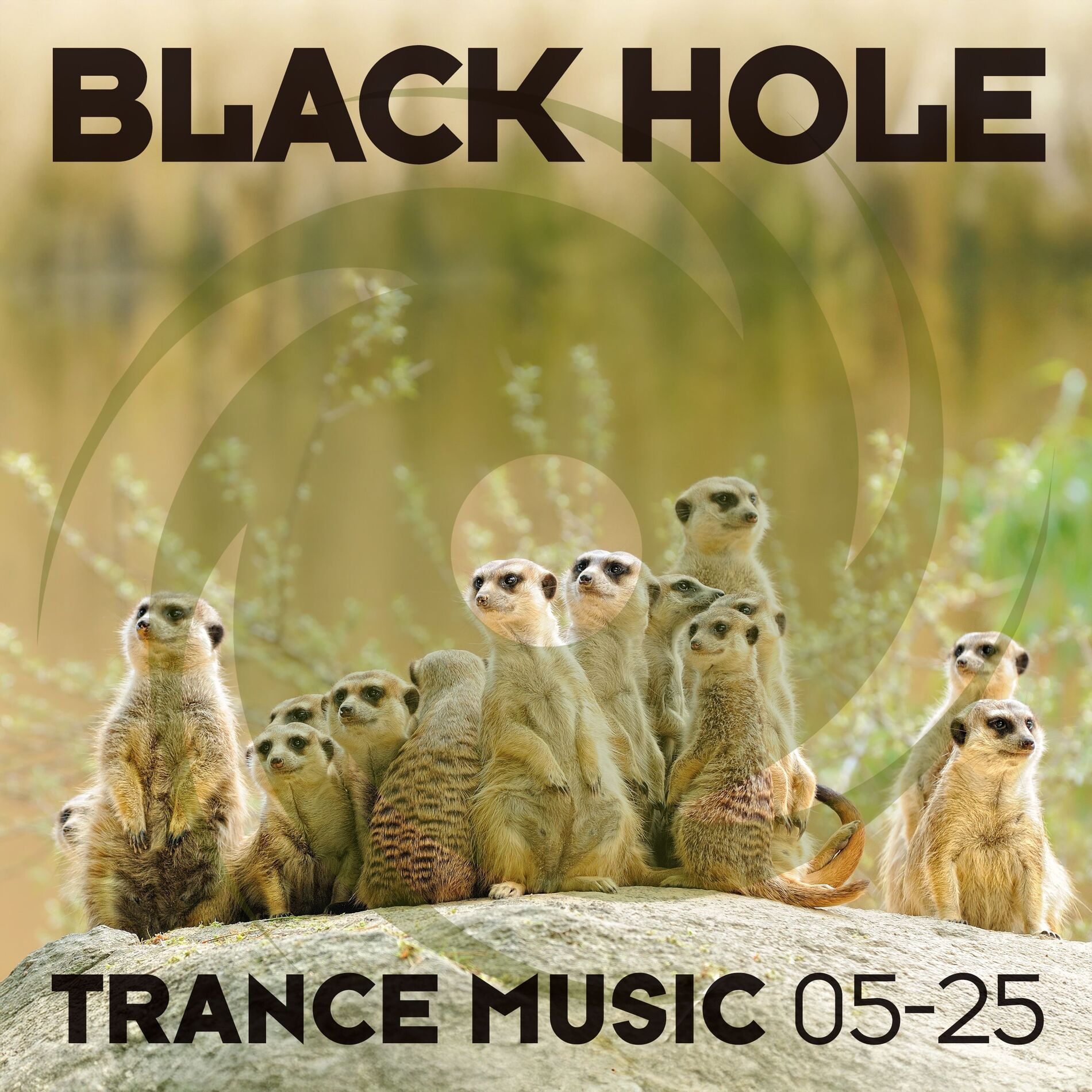 Album cover of Black Hole Trance Music 05-25
