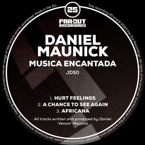 Musica Encantada artwork