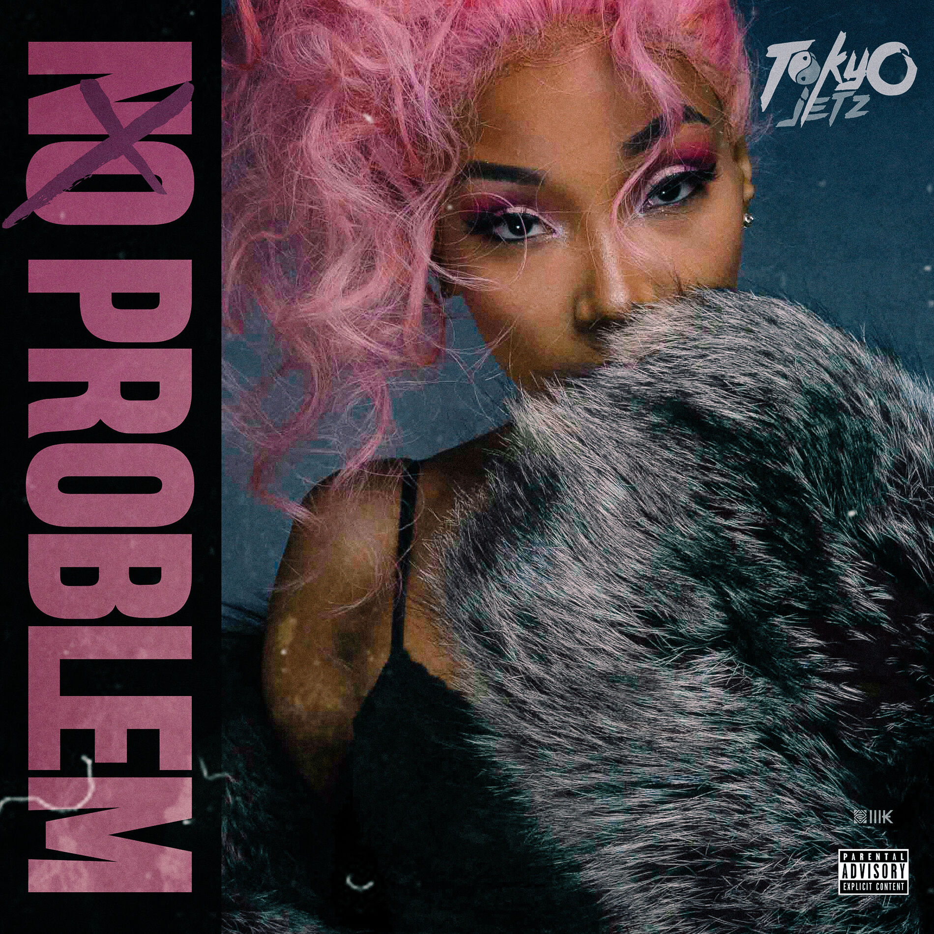Album cover of No Problem