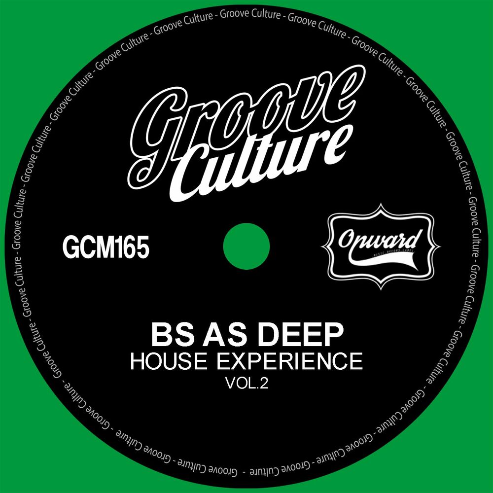 Picture of House Experience, Vol. 2