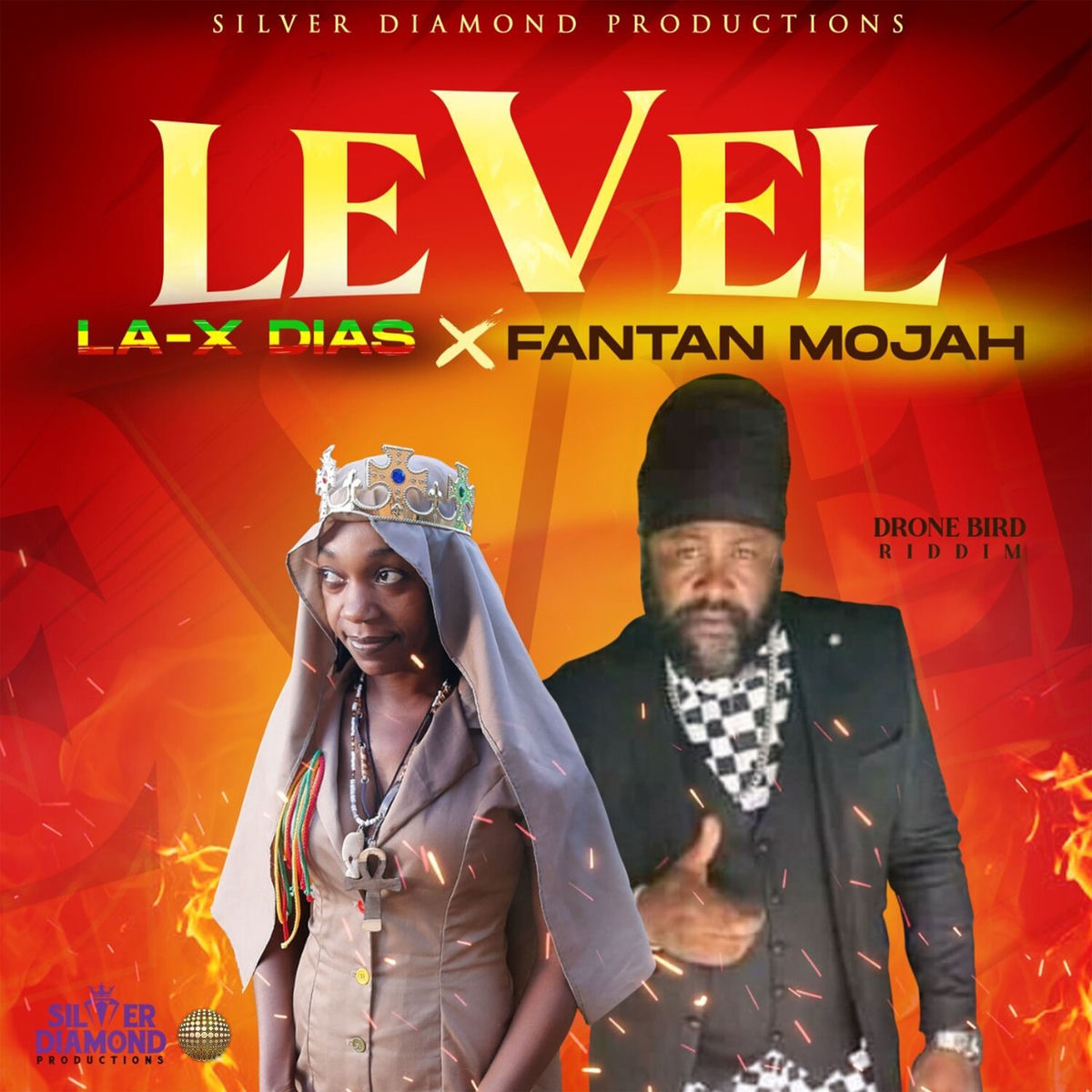 Album cover of Level