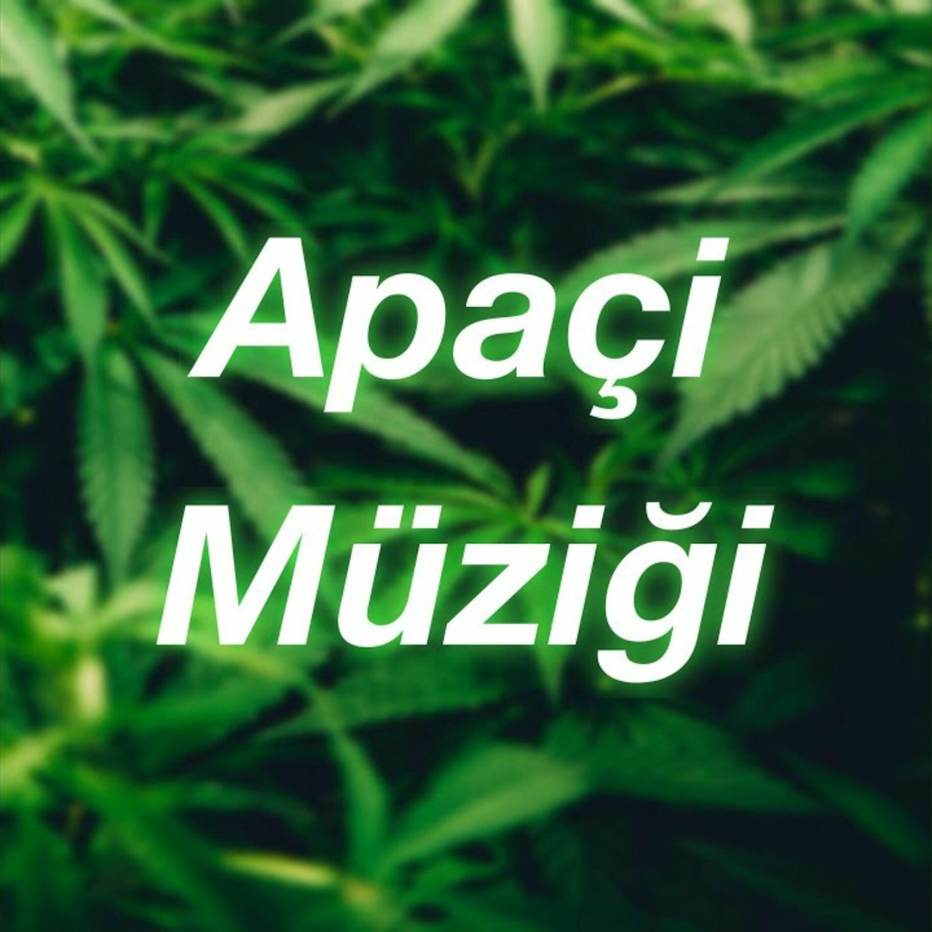 Album cover of Apaçi Müziği