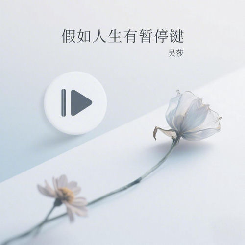 假如人生有暂停键 (DJ版)