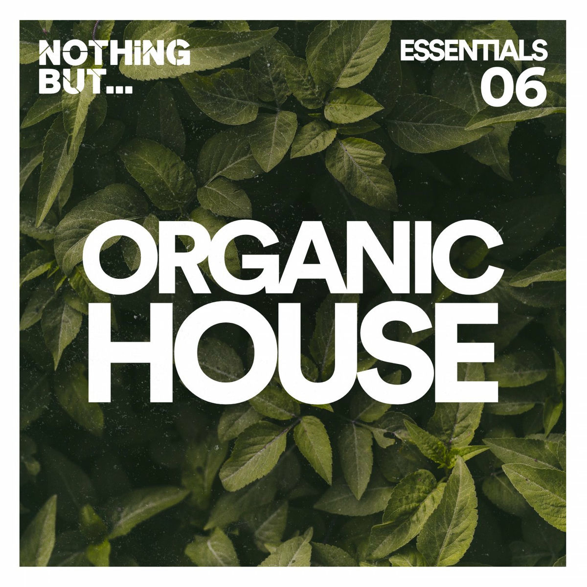 Album cover of Nothing But... Organic House Essentials, Vol. 06