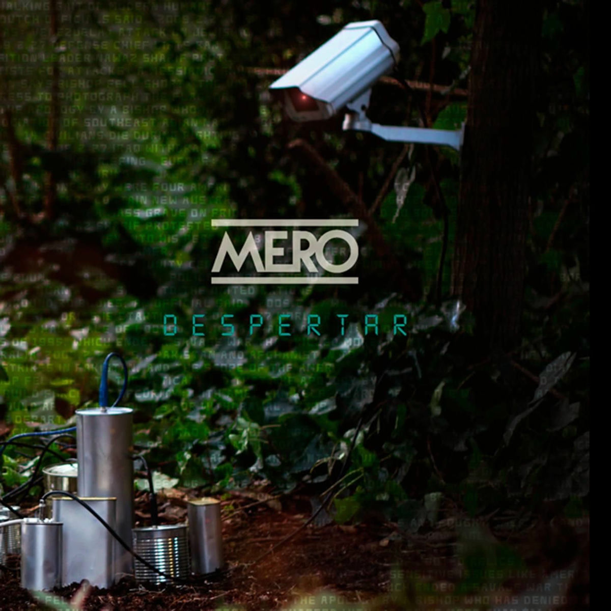 Album cover of Despertar