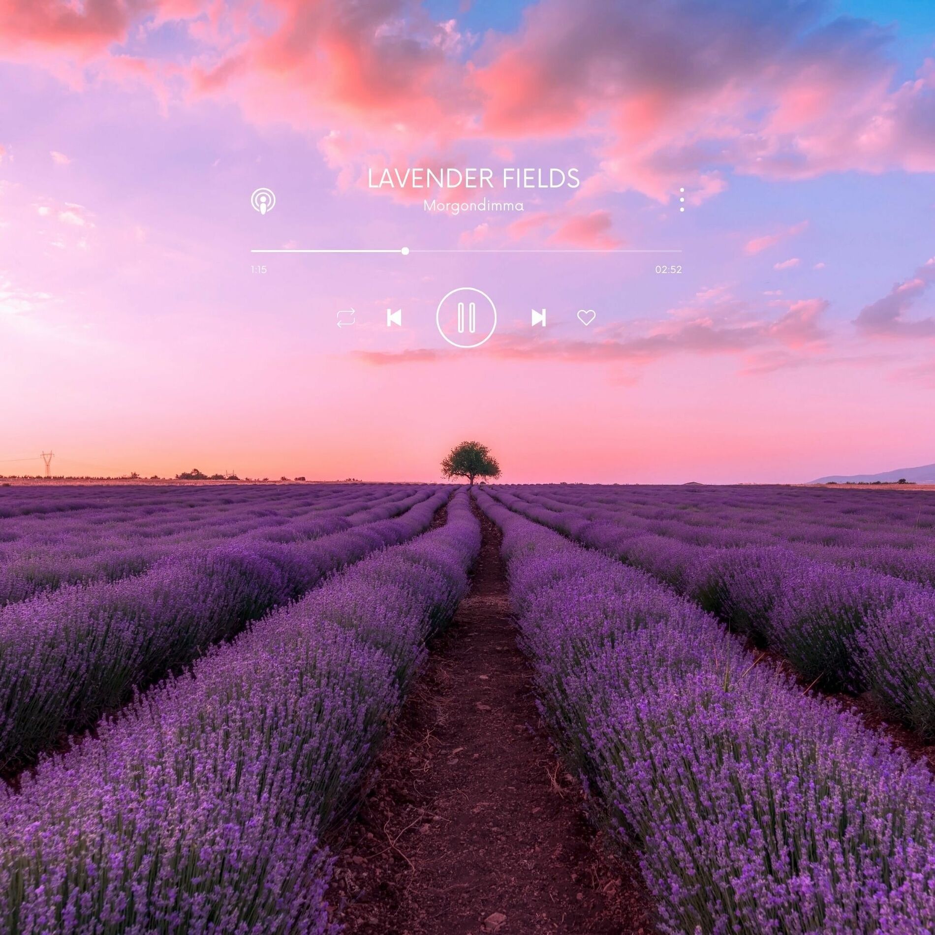 Album cover of Lavender Fields