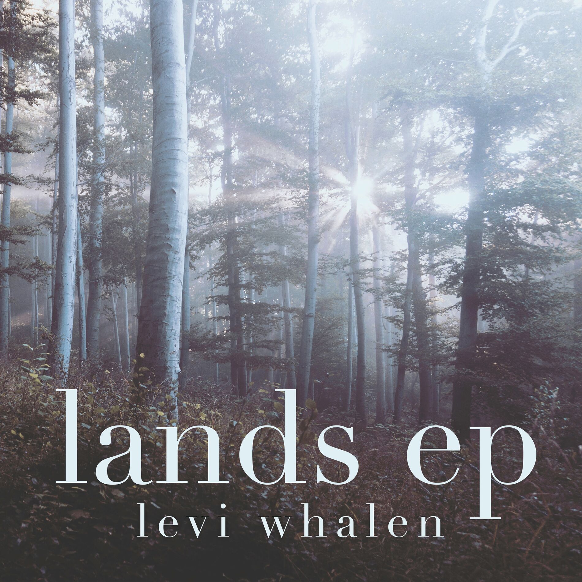 Album cover of Horizon