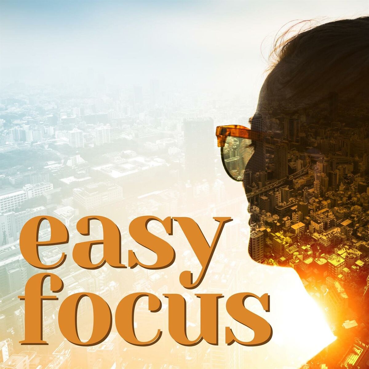 Album cover of easy focus